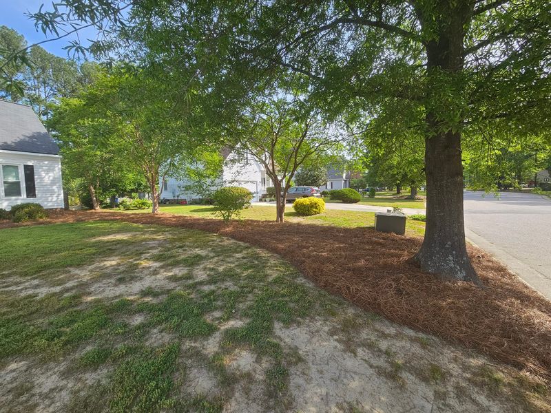 Outdoor Space Transformation