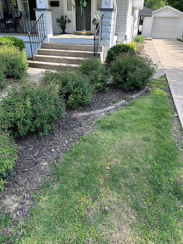 Mulching