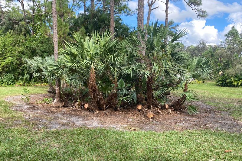 Landscaping