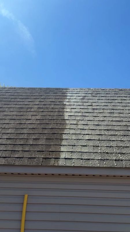 Roof Washing