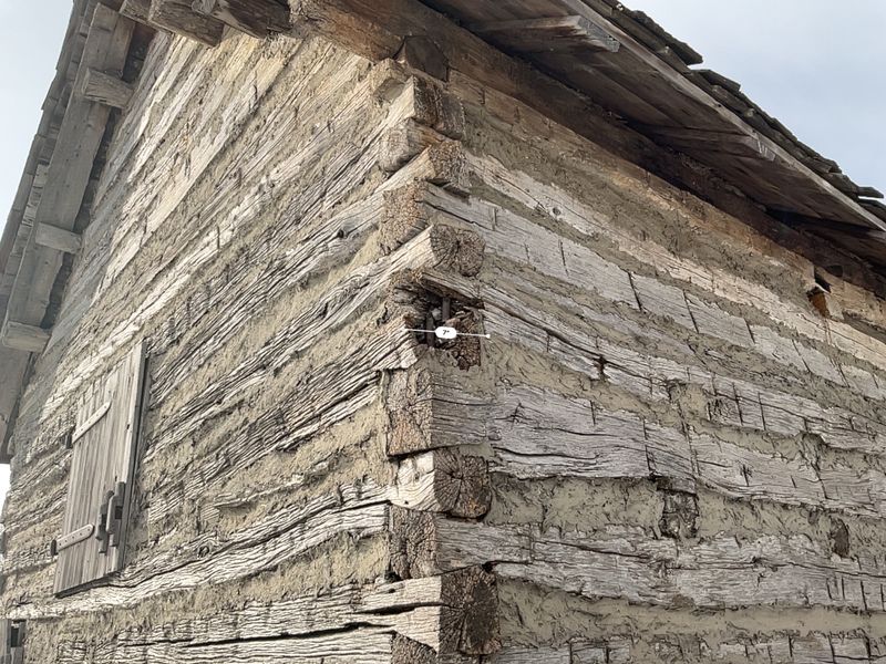 Exterior Finishes and Repairs
