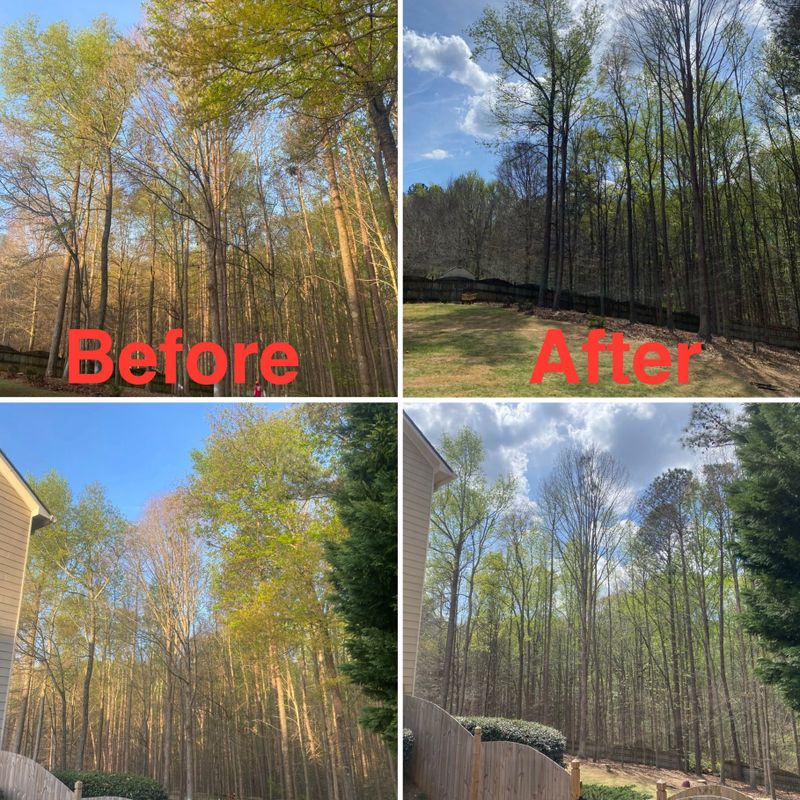 Tree Trimming