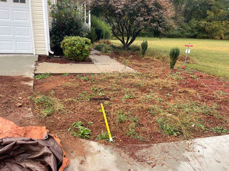 Lawn Maintenance