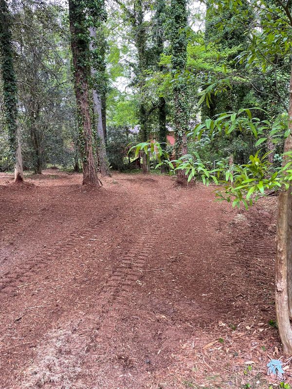 Forestry Mulching gallery