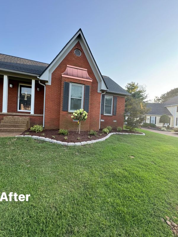 Lawn Maintenance
