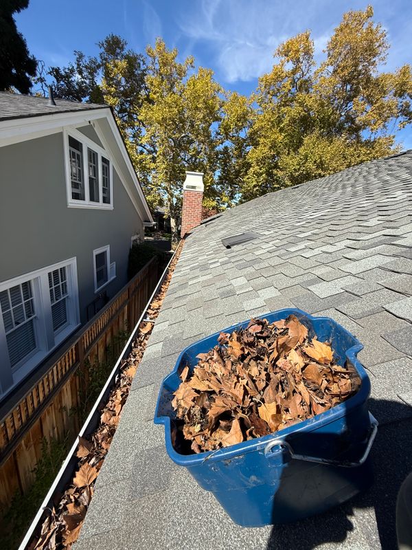 Gutter Cleaning