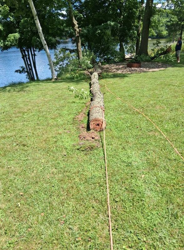 Landscaping
