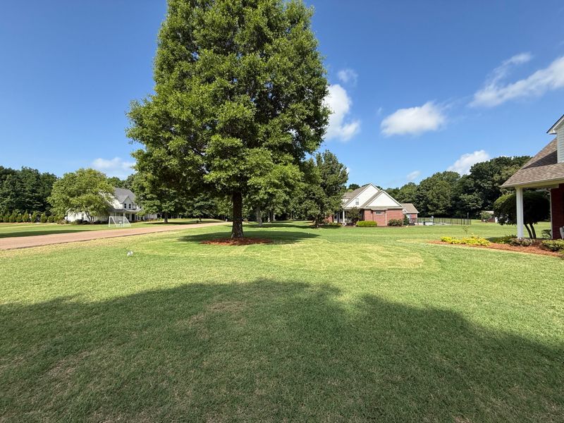 Lawn Maintenance