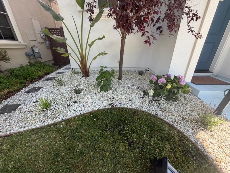 Landscaping