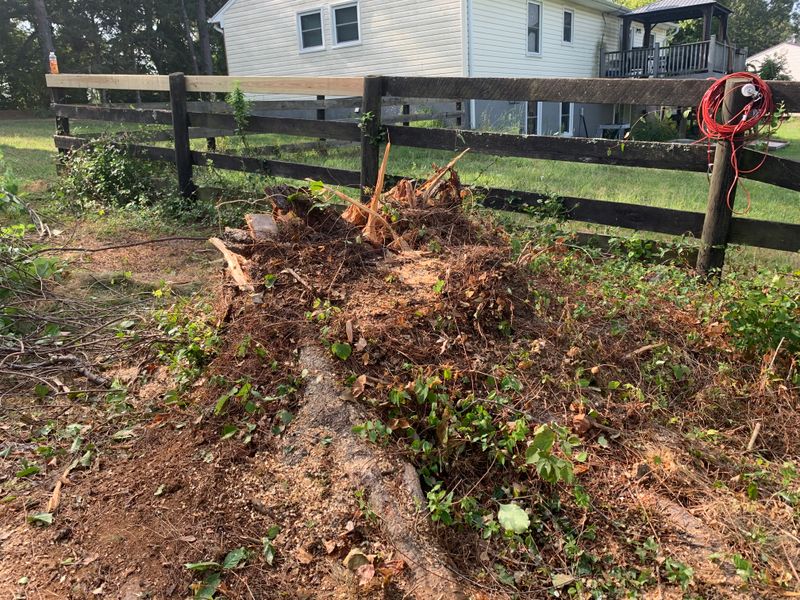 Fencing & Repair