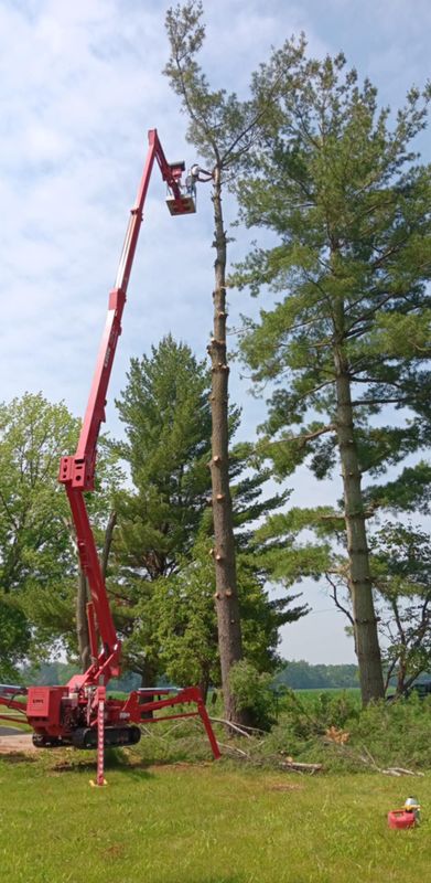 Tree Removal
