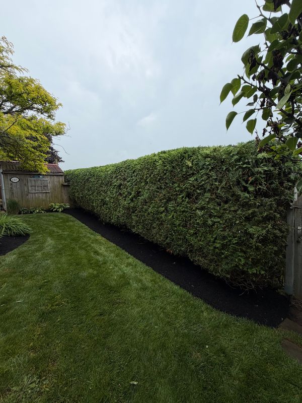Landscaping
