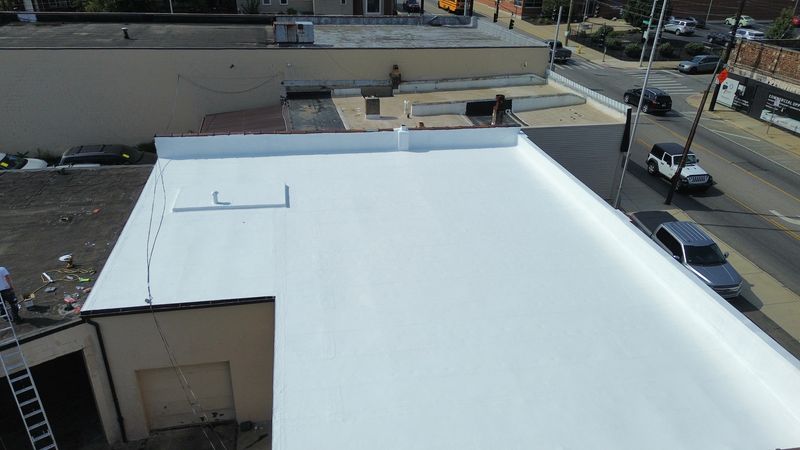 Silicon roof coating