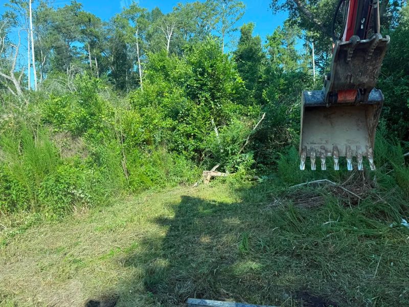 Land Clearing