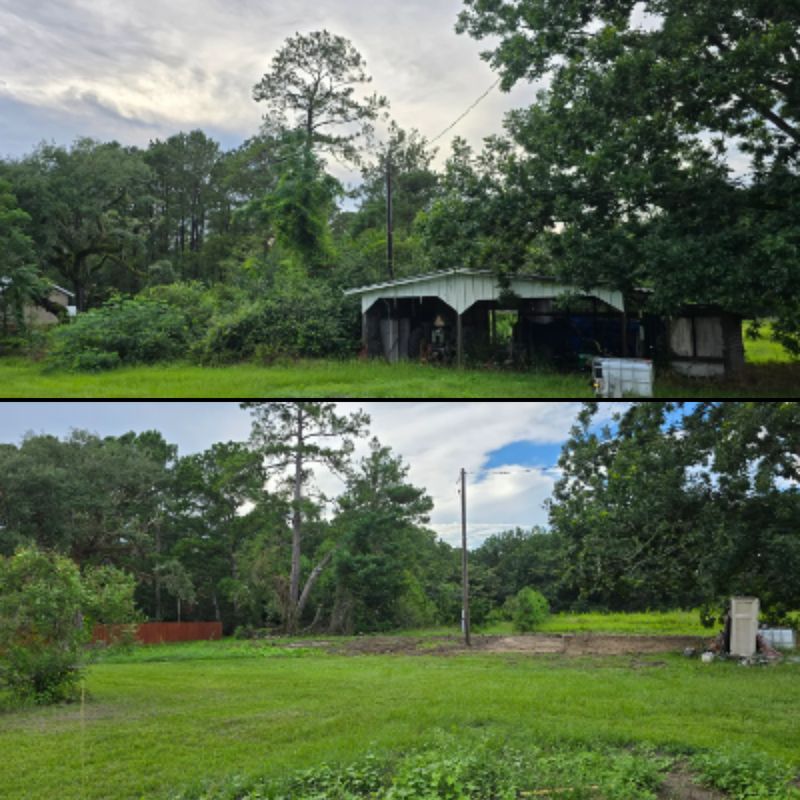 Land Clearing