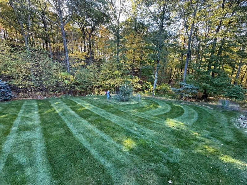 Lawn Maintenance