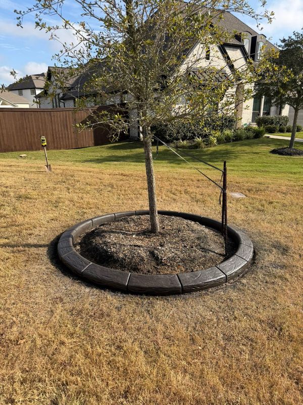 Landscape Border Systems