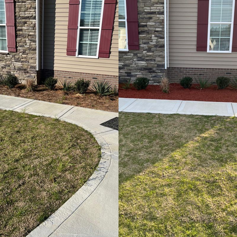 Lawn Care