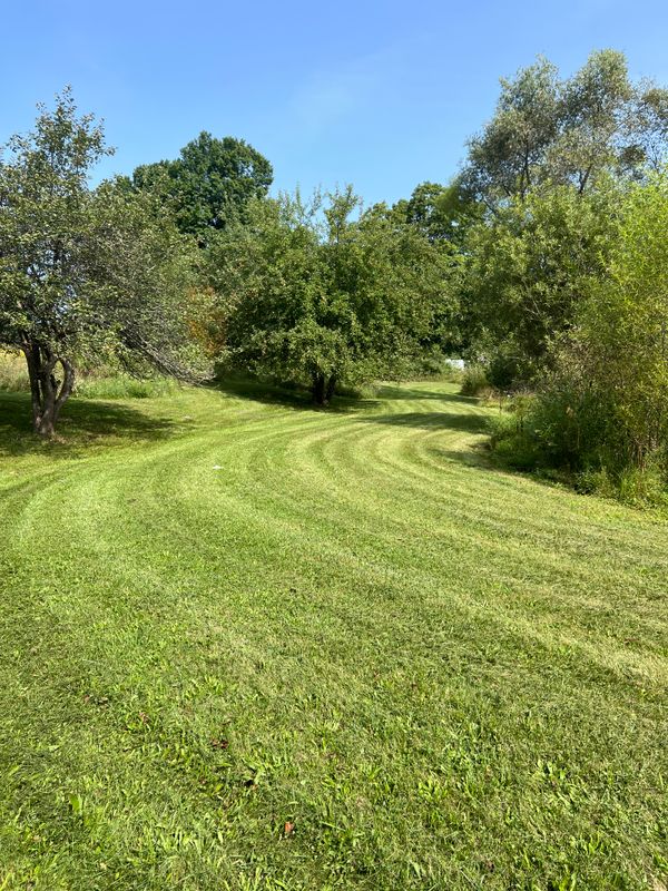 Mowing