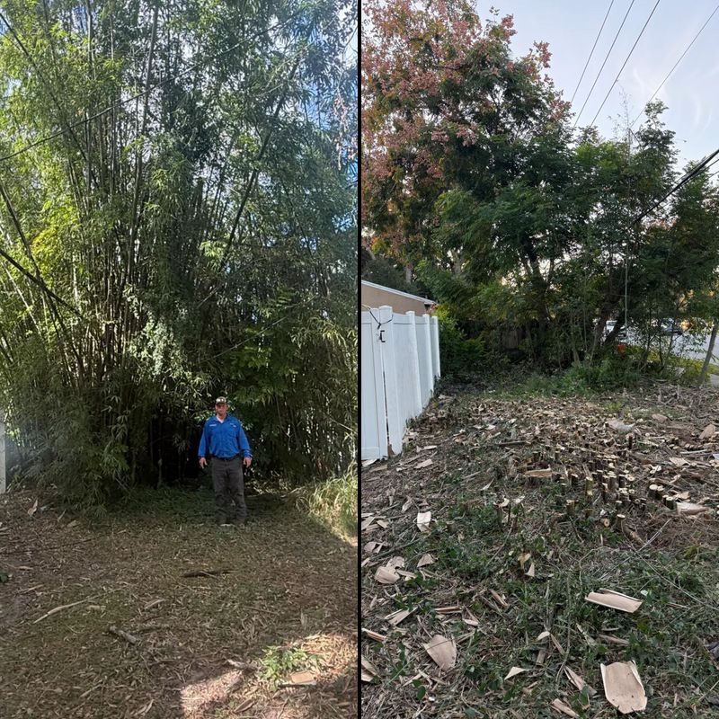 Land Clearing
