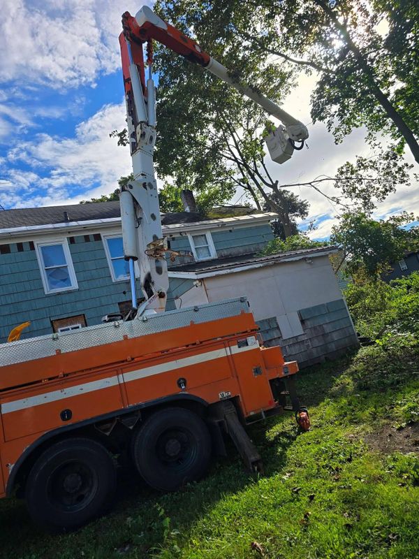 Storm Damage Clean-Up