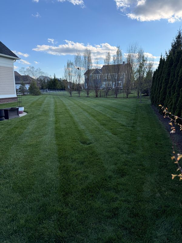 Lawn Care and Maintenance