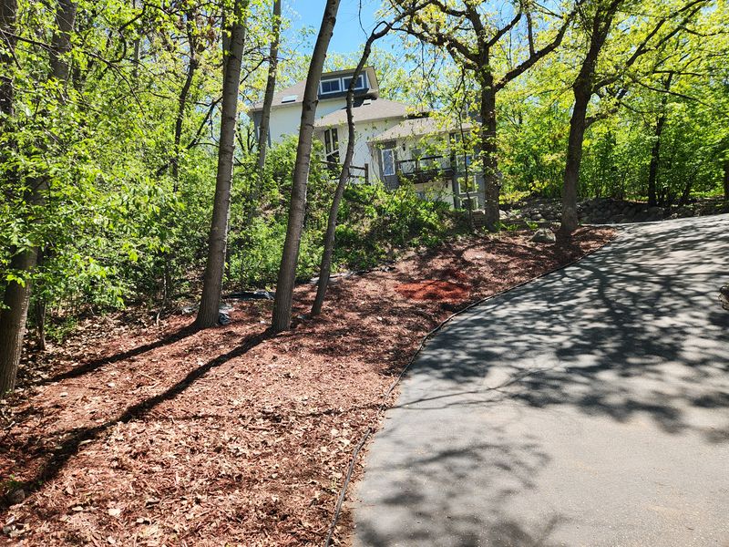 Landscaping 