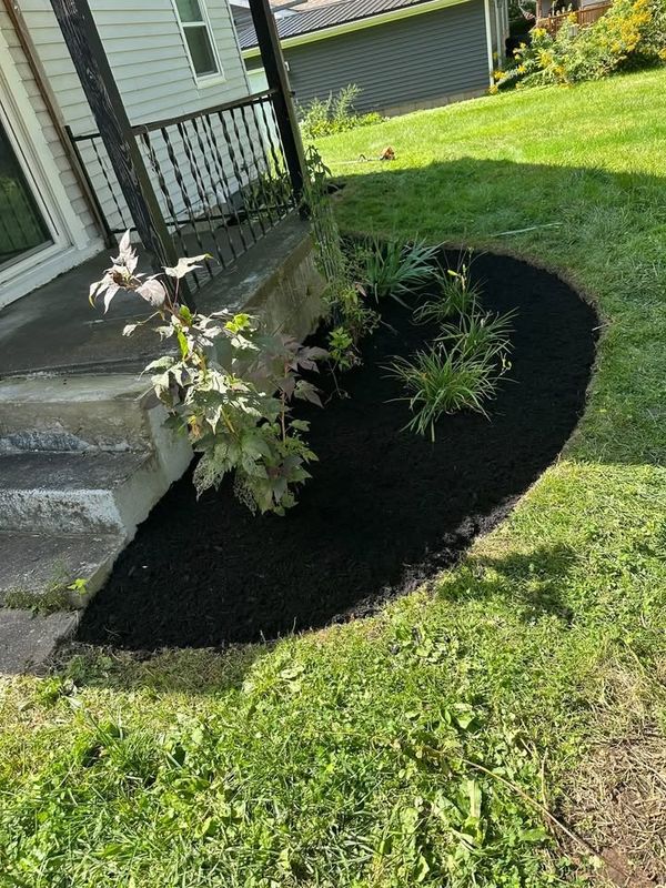 Shrub Trimming