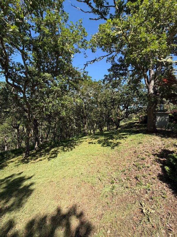 Land Clearing