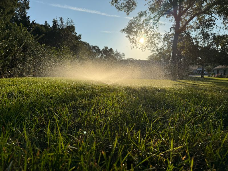 Drip Irrigation Installation and Maintenance