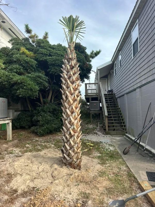 Landscaping