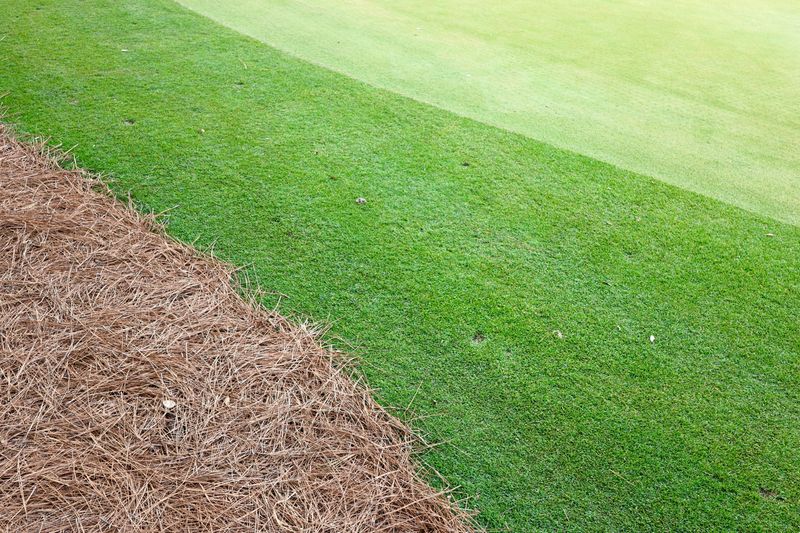 Mulch Installation