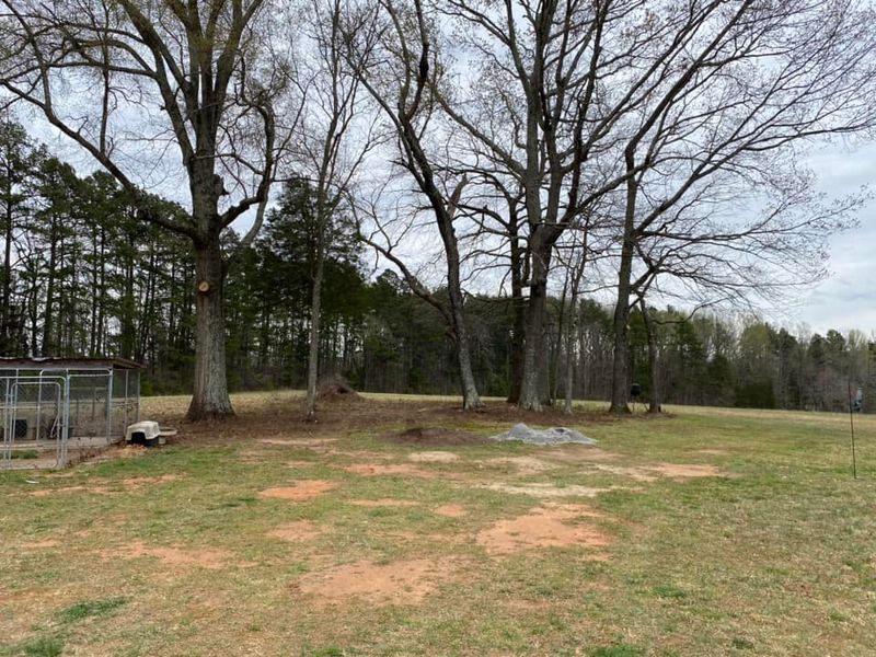 Tree Removal gallery