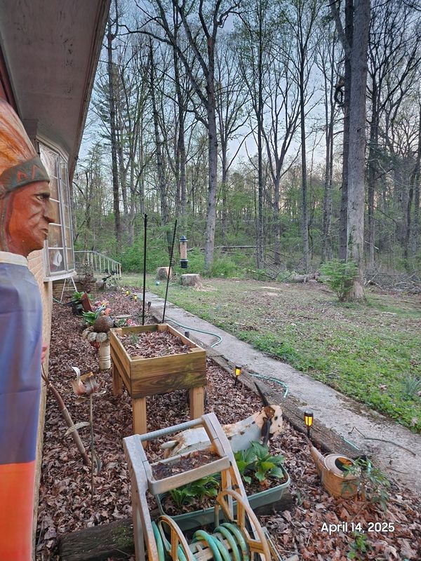 Majestic Oak Removal in Monteagle: Ensuring Safety and Elegance with McBee's Expertise