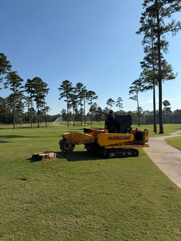 Tree Services