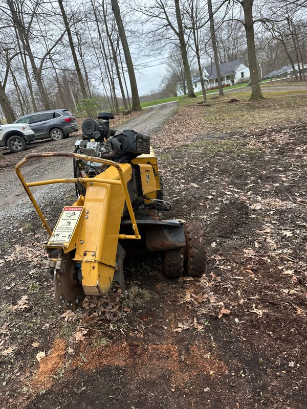 Stump Removal