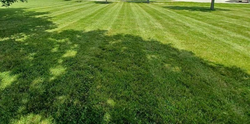 Lawn Care
