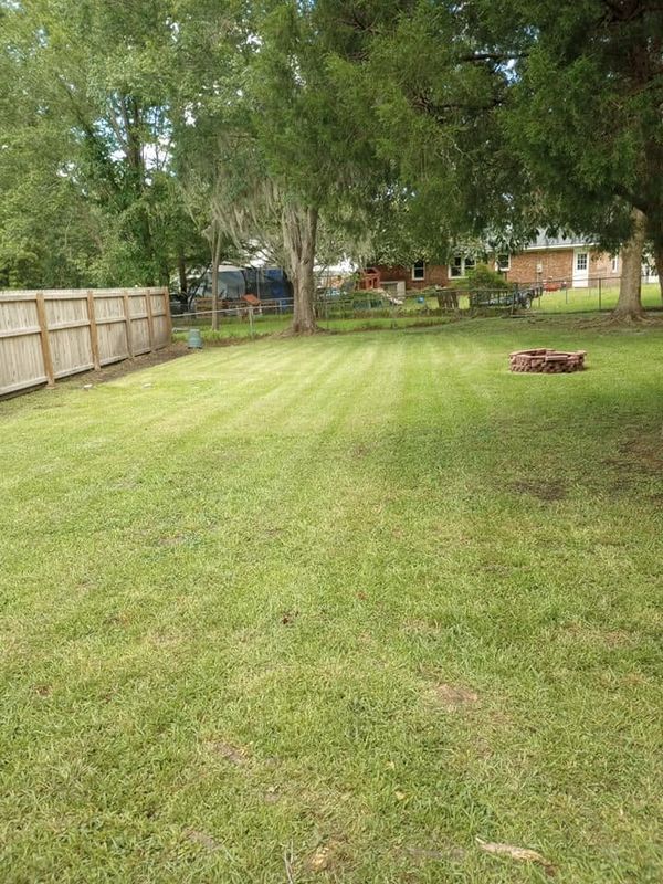 Lawn Maintenance