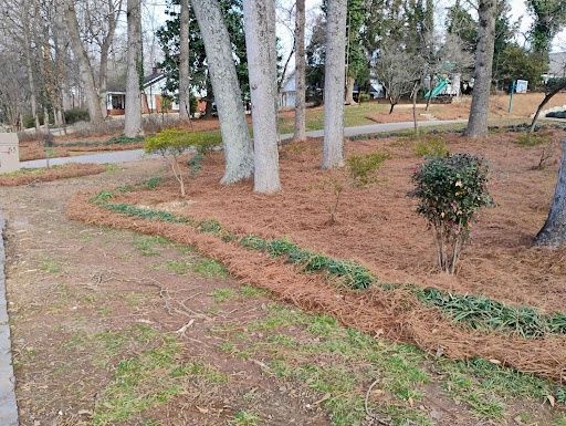 Pinestraw Installation
