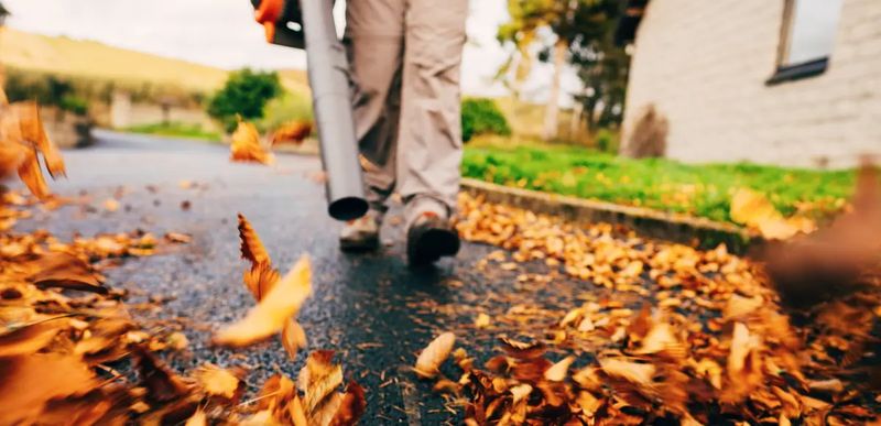 Seasonal Cleanups