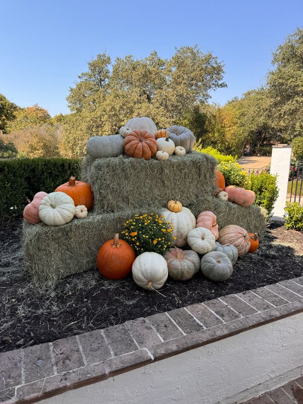 Fall Decorations 