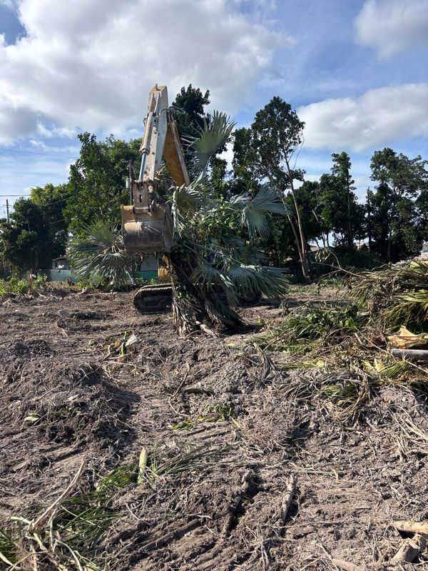 Residential Demolition