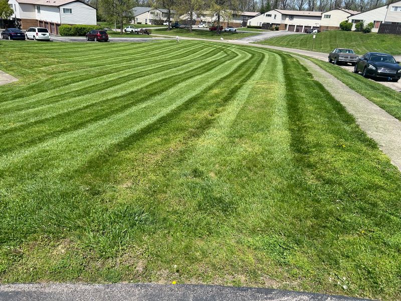 Commercial Lawn Care & Landscaping