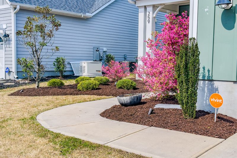 Mulch Installation