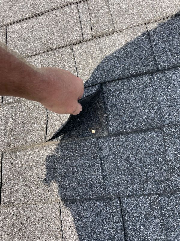 Roof inspection
