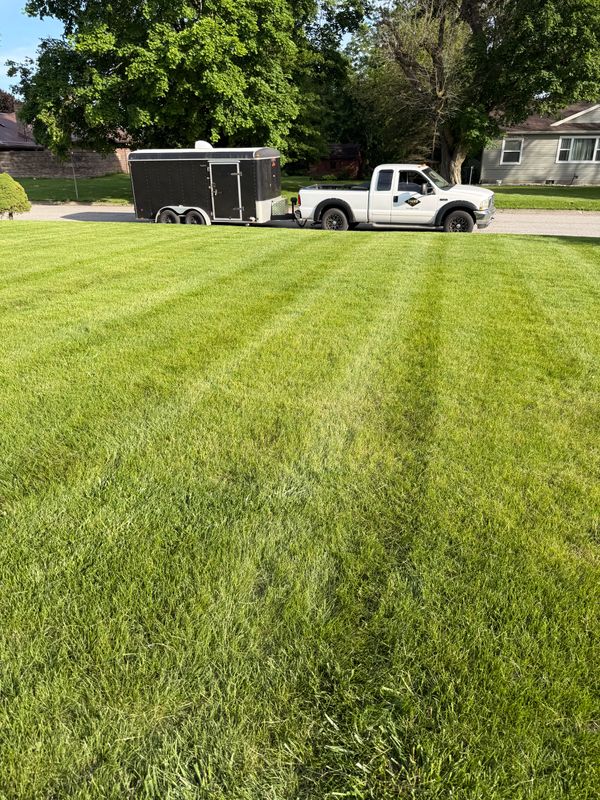 Lawn Care and Maintenance