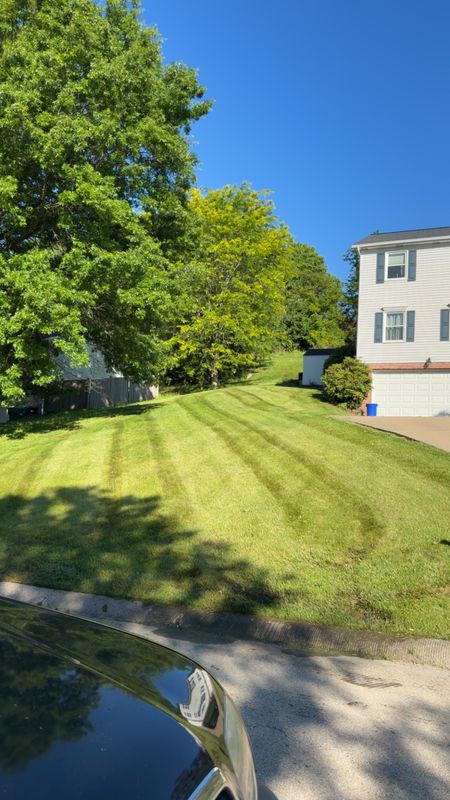 Lawn Care