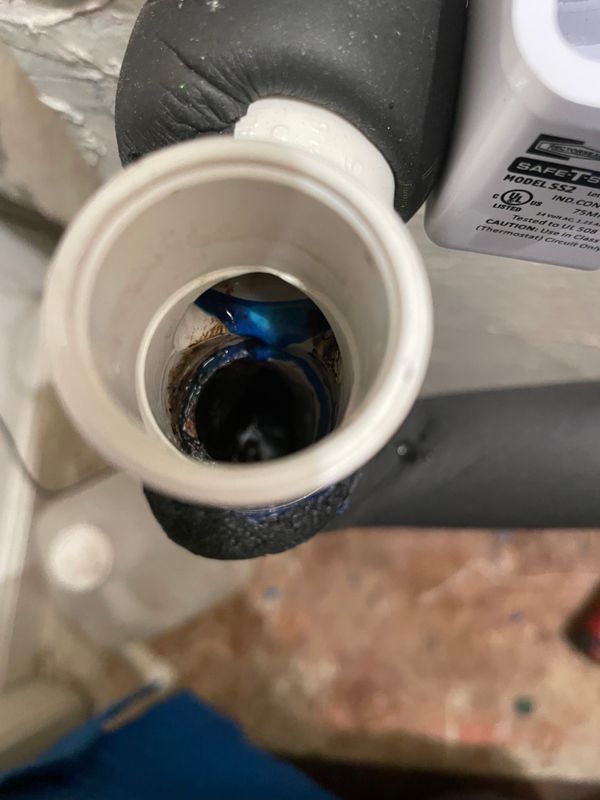 Routine Maintenance and Tune-ups