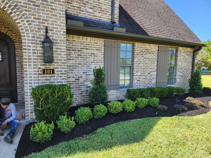 Landscaping