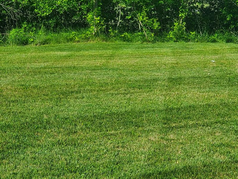 Lawn Care